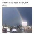 1697510240335.png