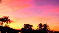 20231106_175121.jpg