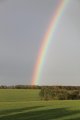 IMG_5490.jpg