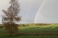 IMG_5491.jpg