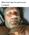 1701528827352.png