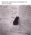 1701797018458.jpeg