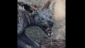1701880329979.png