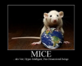 1701888277984.png
