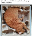 Selection_031.png
