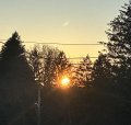 IMG_7675.jpeg IMG_7675.jpeg