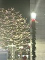 IMG_7685.jpeg IMG_7685.jpeg