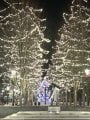IMG_7680.jpeg IMG_7680.jpeg