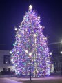IMG_7682.jpeg IMG_7682.jpeg