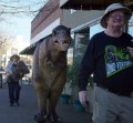 ROARY BLUEGRASS 4.JPG