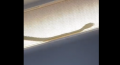 1705556393213.png