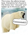 1705682143675.png