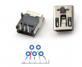 Mini usb pc pinout.png
