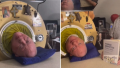 1706745004698.png 1706745004698.png
