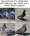 1707176109387.png