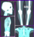 1707490327748.png
