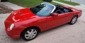 20240210_170036.jpg 20240210_170036.jpg