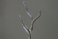 1707636987167.png