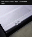 1708303881219.png