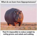 1708325076692.png