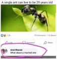 1708326378147.png