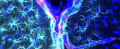 1709663341164.png