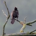 IMG_1475.jpeg