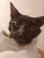 1709821719331.png