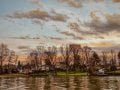 IMG_2521.jpeg