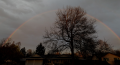 1711160750521.png