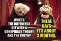 conspiracy theory 2 .jpg