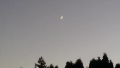 1712613031519.png