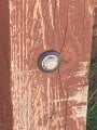 IMG_4236.jpeg