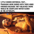 1713982832089.png