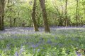 IMG_5765.JPG