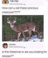 1714270067023.png