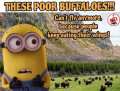 1714578933648.png