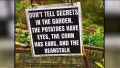 1714755558627.png
