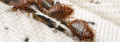Selection_040.png