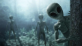 1715366736950.png