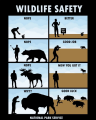 1716291060856.png