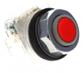 Push Button .png
