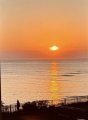 IMG_9029.jpeg