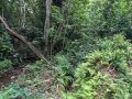 PXL_20240708_023015070.jpg