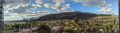 1720574389650.png