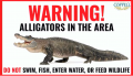 240711 Gator.png