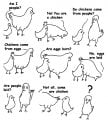 Chickens 4a.jpg