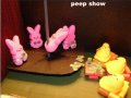 Peep Show.jpg