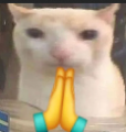 1722340563041.png