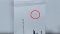 1723334348507.png